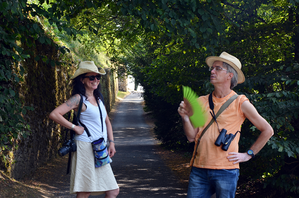 Workshops in viaggio