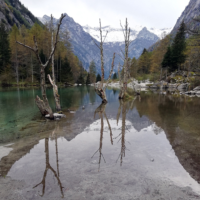 Workshops in viaggio