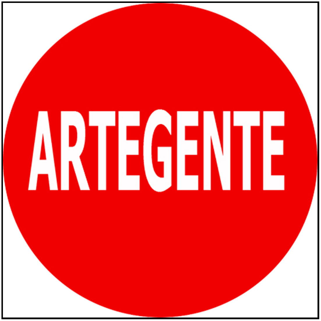 2° classificato " ARTEGENTE" Daniele Durighetto
