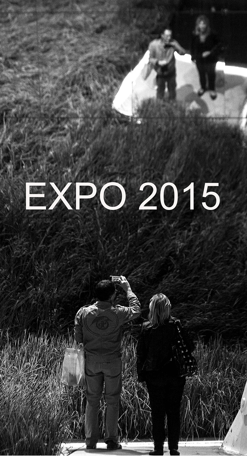 2° classificato - PAOLO MERLO PICH "Expo 2015"