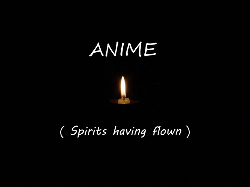 1° classificato - MASSIMO MENGOLI "Anime (Spirits having flow)"